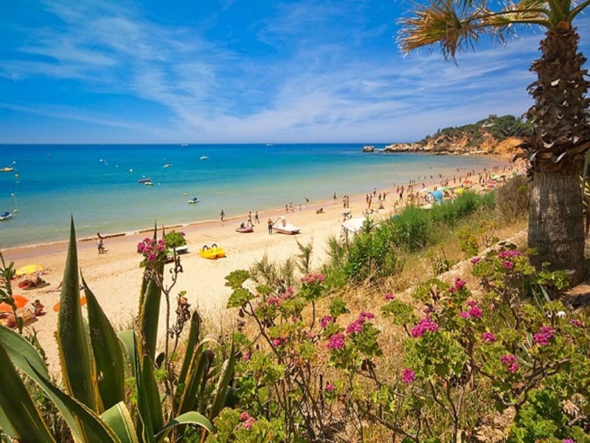 V4, Jardins Branqueira4 Near Beach, Albufeira