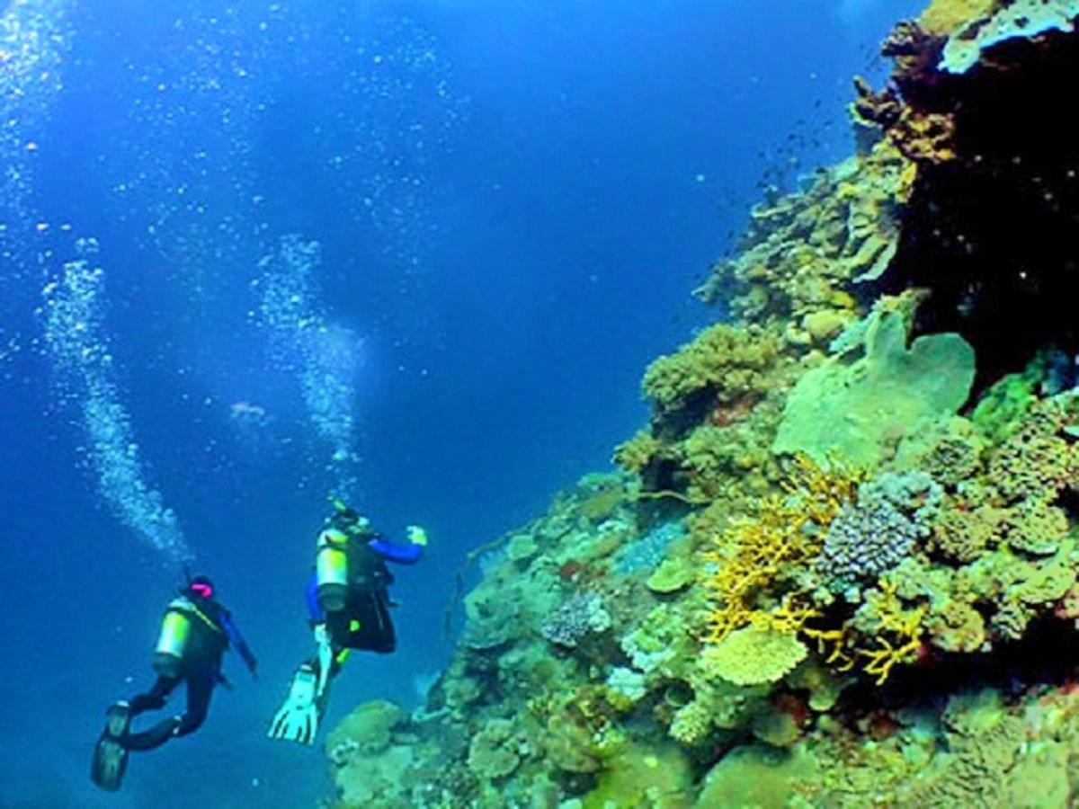 V4, Jardins Branqueira4 Near Beach, *